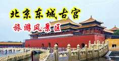 羞羞答答污污污中国北京-东城古宫旅游风景区